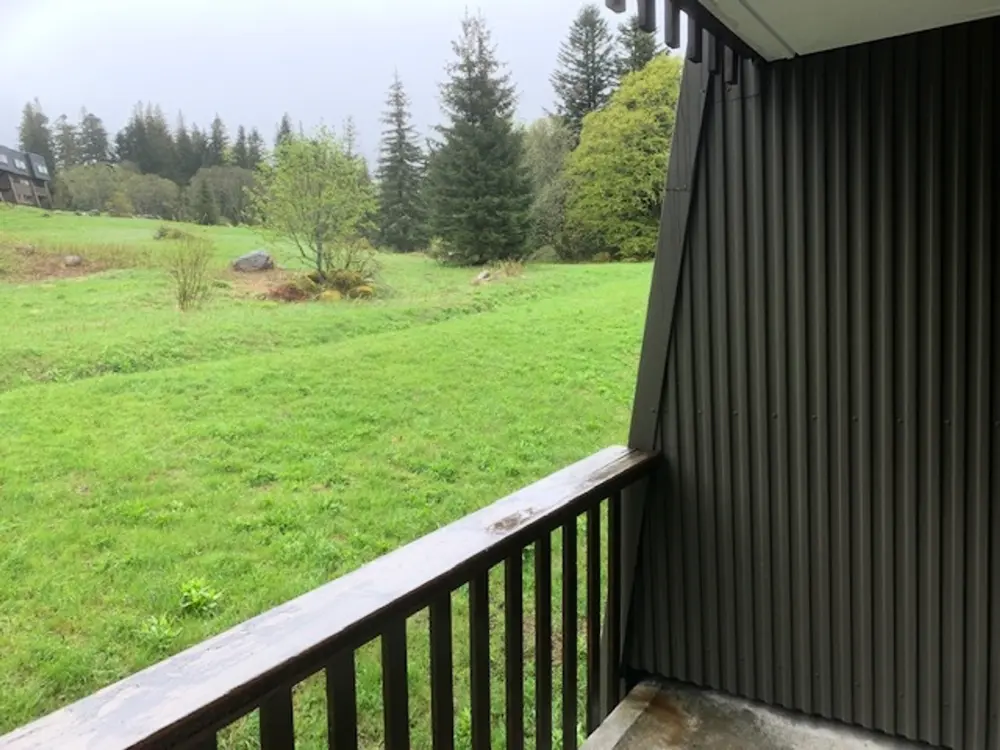 Location de Vacances Mont-Dore 390