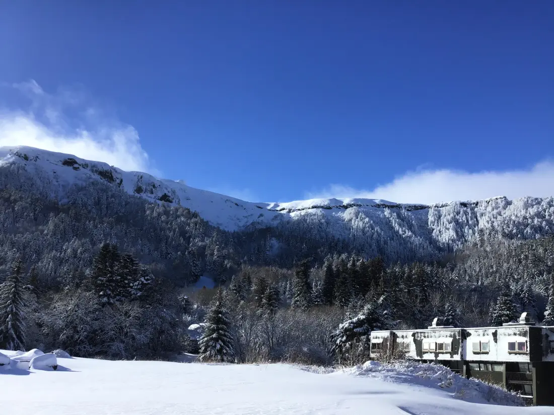Location de Vacances Mont-Dore 390