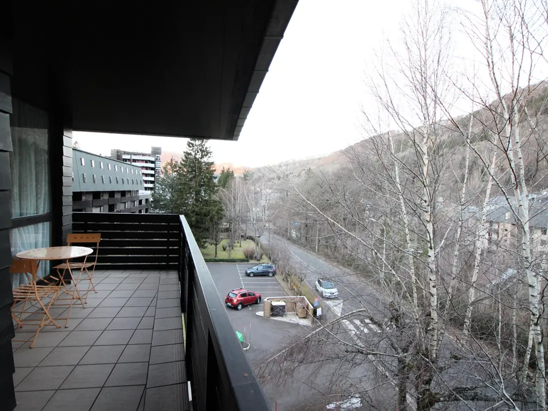 Location de Vacances Mont-Dore 393