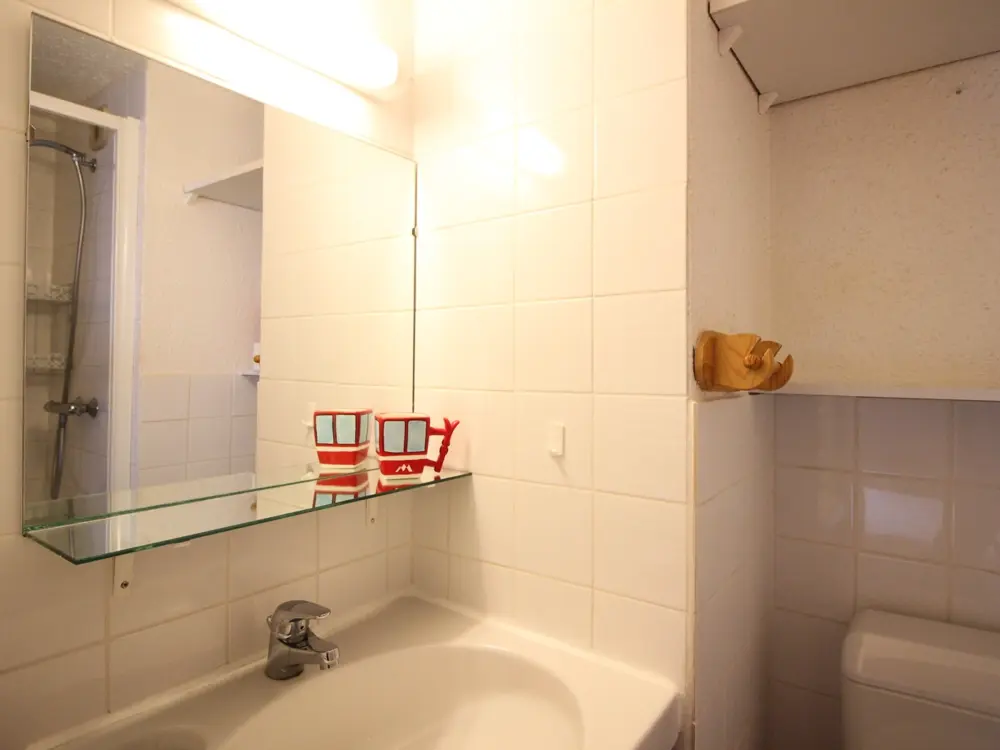 Location de Vacances Mont-Dore 396