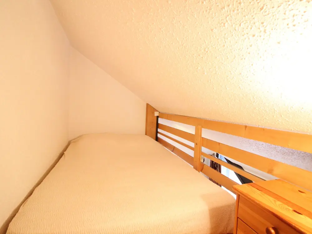 Location de Vacances Mont-Dore 396
