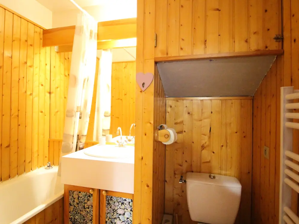 Location de Vacances Mont-Dore 404