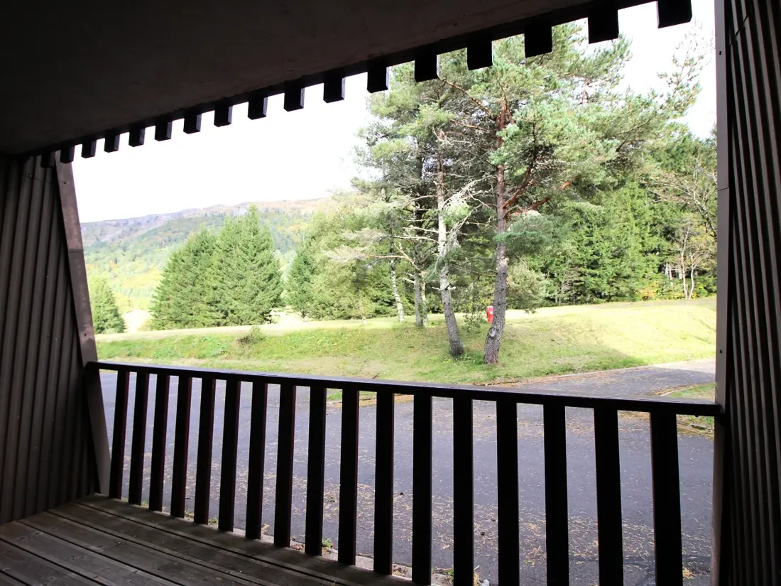 Location de Vacances Mont-Dore 412