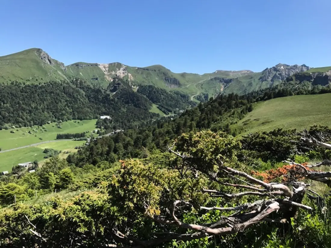 Maison de Vacances Mont-Dore 243