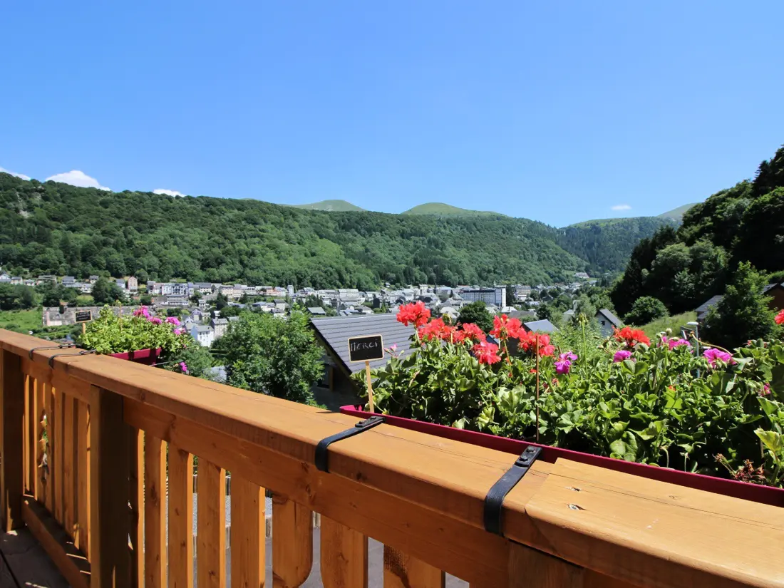 Maison de Vacances Mont-Dore 253