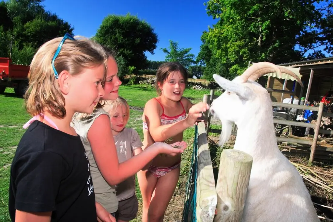 Camping Haliotis 3 étoiles★★★