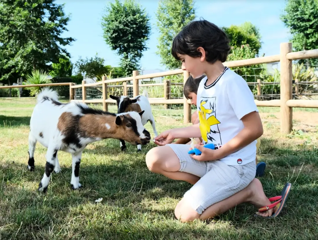 Camping Seasonova Haliotis 3 étoiles★★★