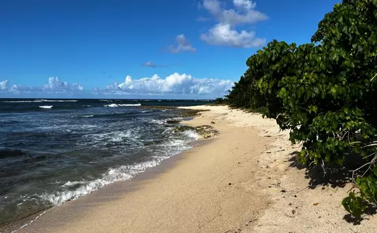 Appartement Seaside