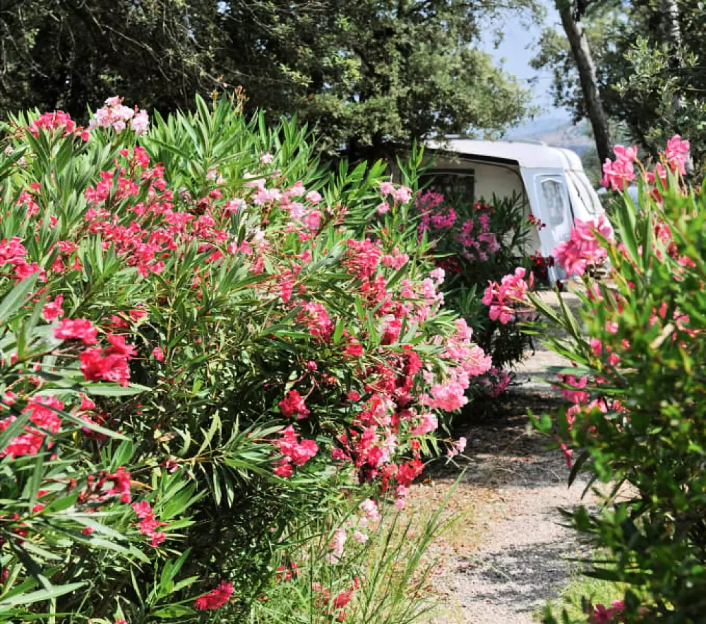 RCN Domaine de la Noguière 4 étoiles★★★★