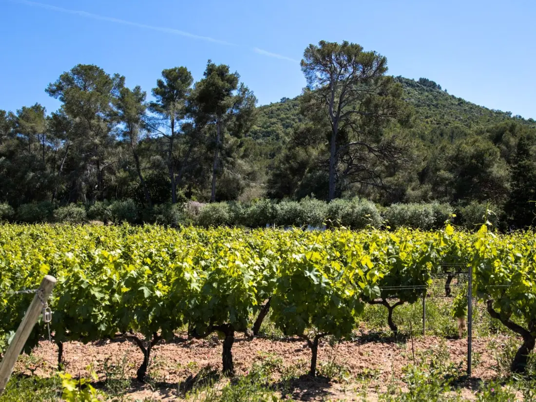 Maison de Vacances Le Pradet