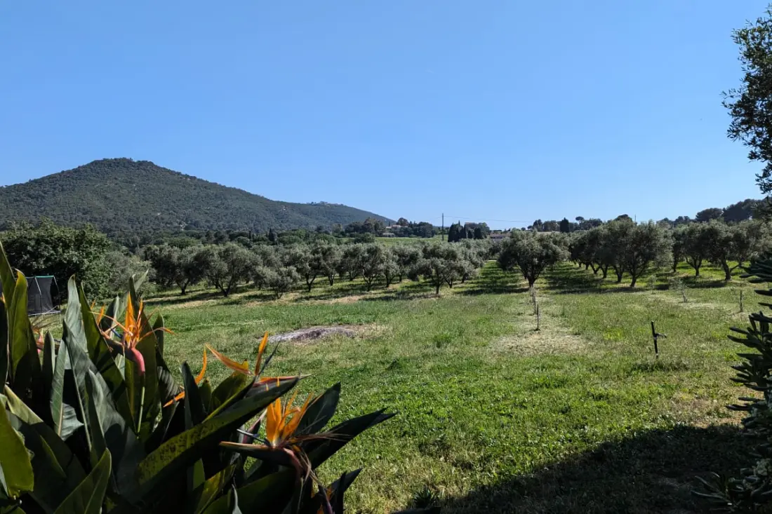 Villa Sur Domaine Avec Piscine