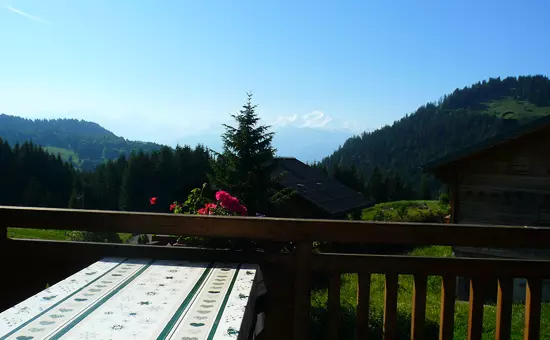 Appartement 5 pers. avec terrasse face au mont blanc