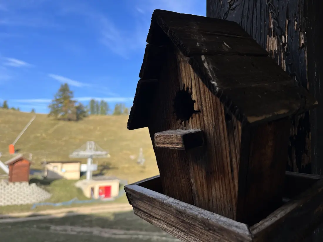 Résidence Les Cimes