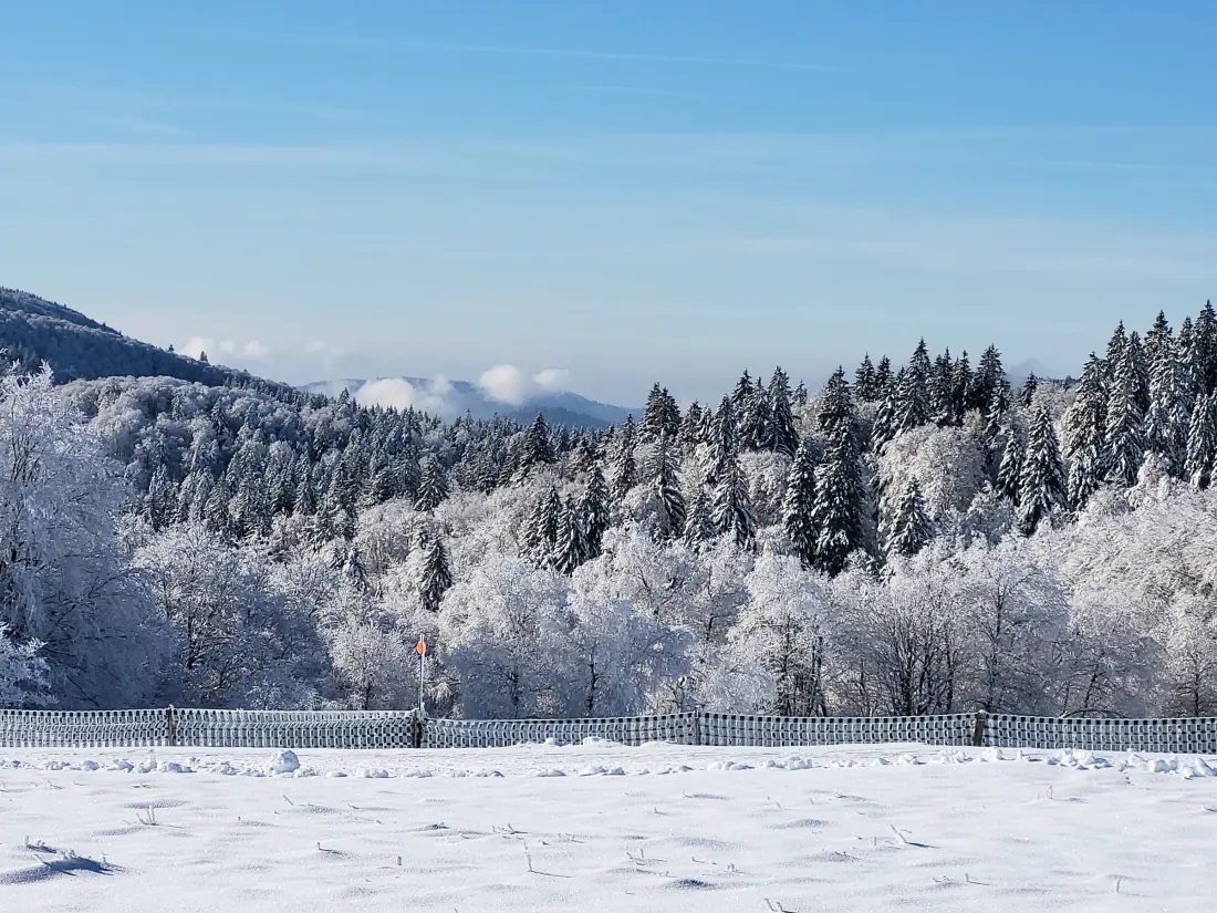 Location de Vacances Le Thillot 4