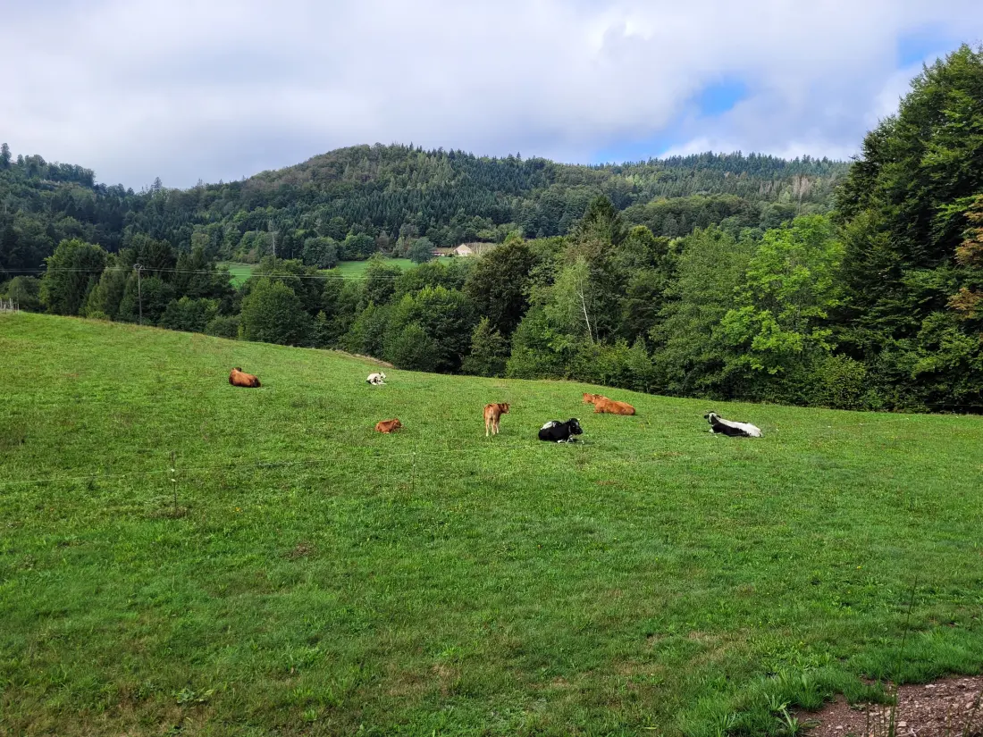 Location de Vacances Le Thillot 4