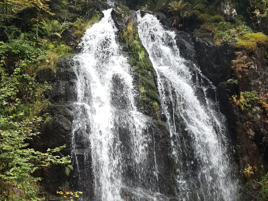 Location de Vacances Le Tholy 12