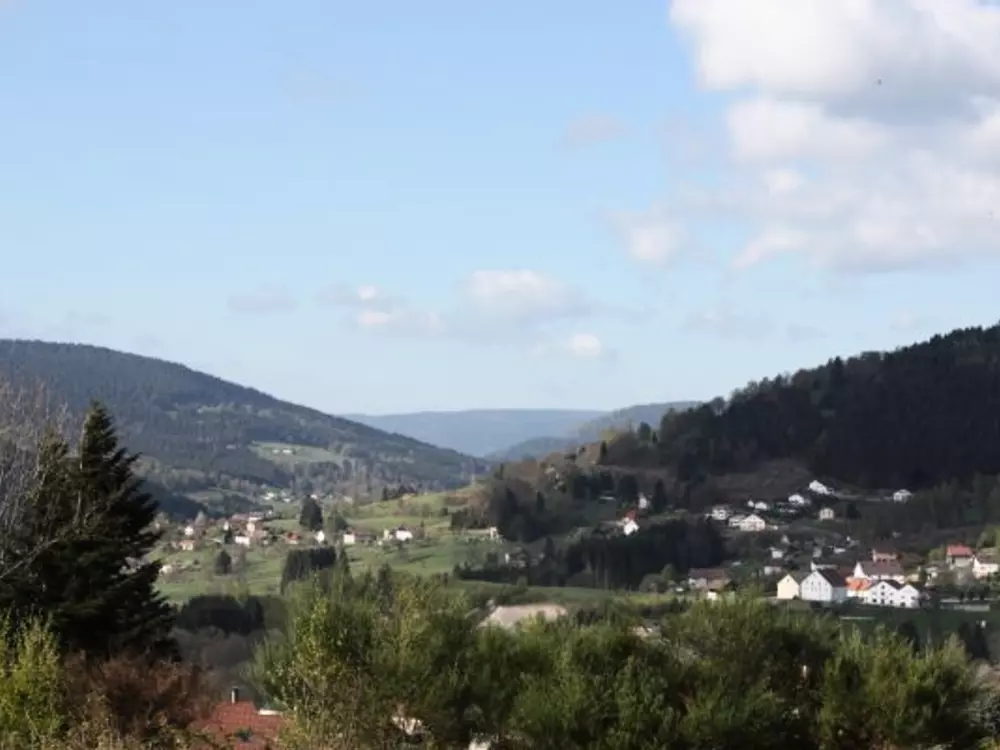 Location de Vacances Le Tholy 7