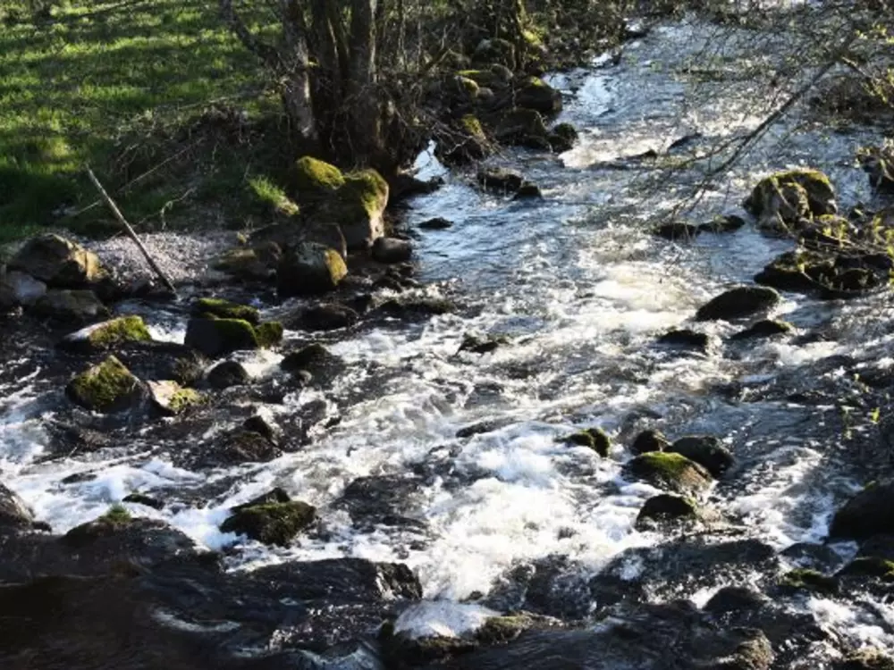 Location de Vacances Le Tholy 7