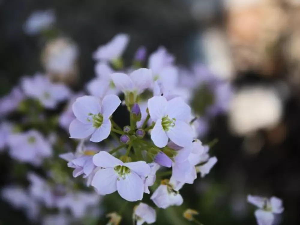 Location de Vacances Le Tholy 7