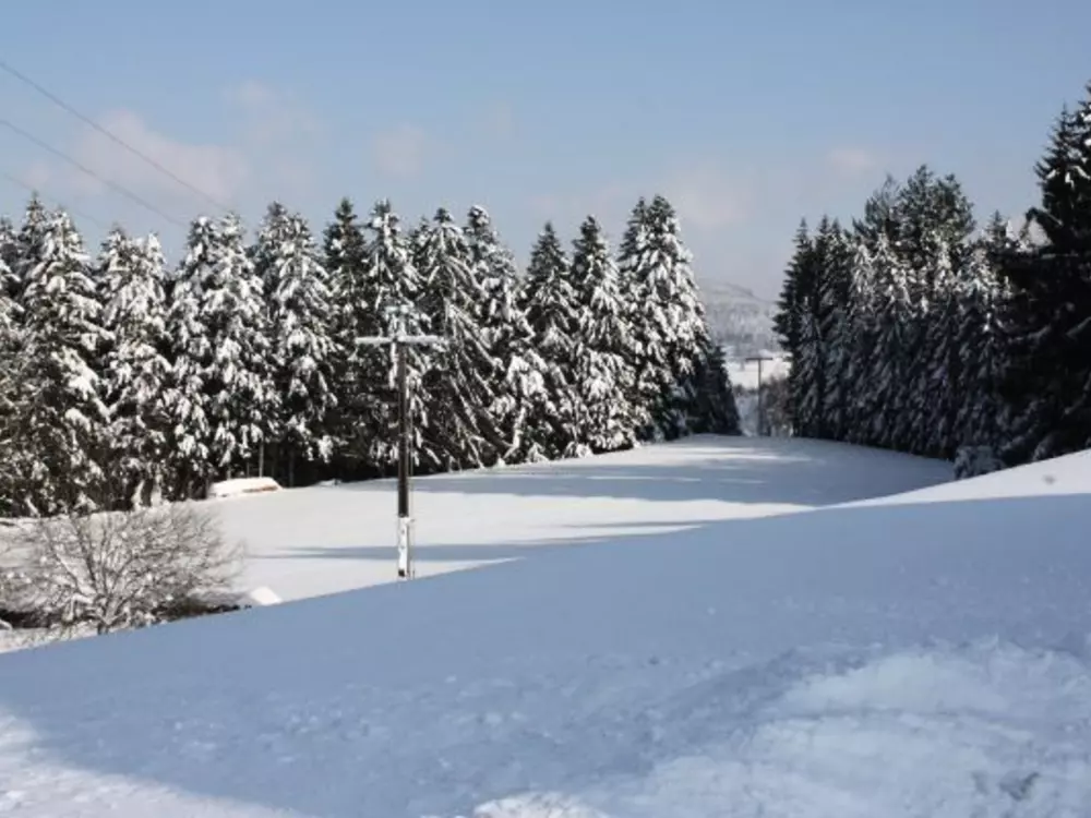 Location de Vacances Le Tholy 7