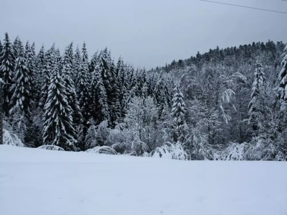 Location de Vacances Le Tholy 7