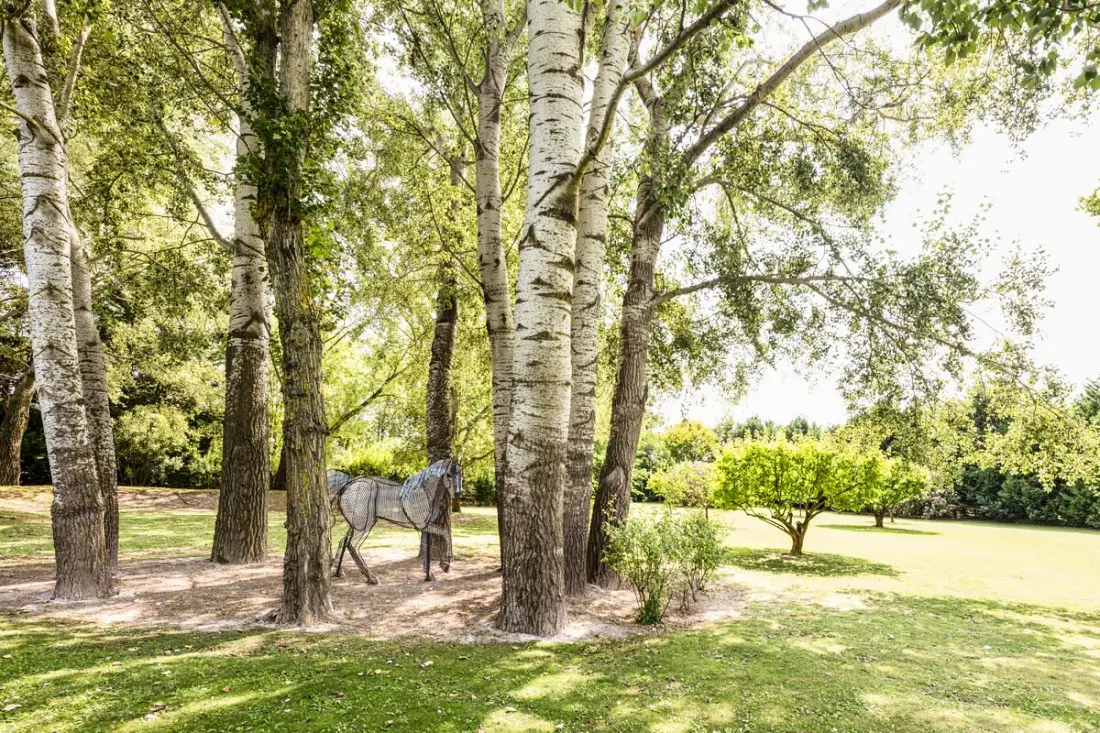 Maison De Famille En Provence