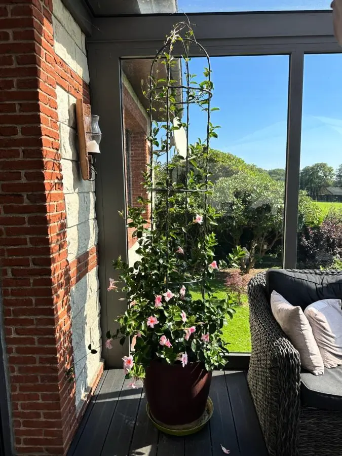 Gîte de France Gîtes de france® - la demeure des vents 3 épis