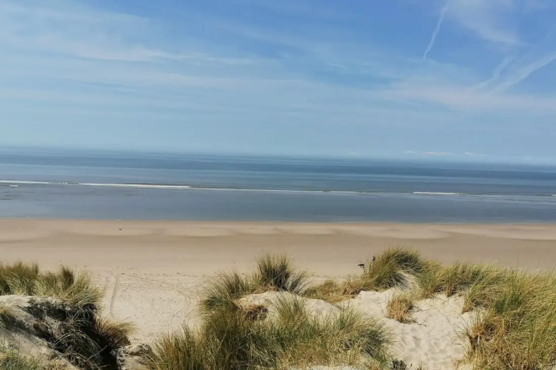Joli T3 Avec Wifi Proche De La Mer