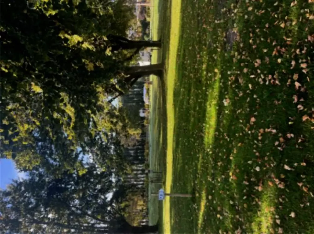 Camping Paradis Les Boucaniers 31 étoiles★