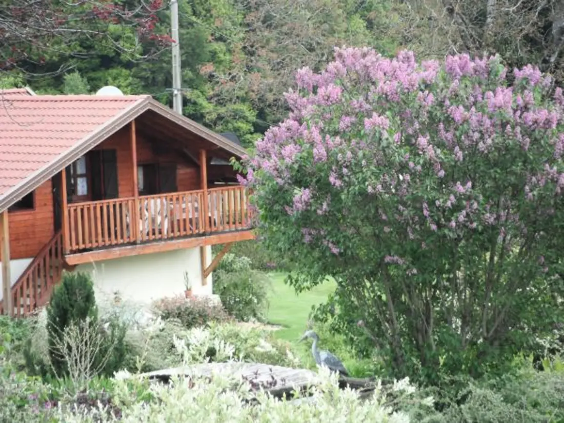 Maison de Vacances Le Val-d'Ajol 4