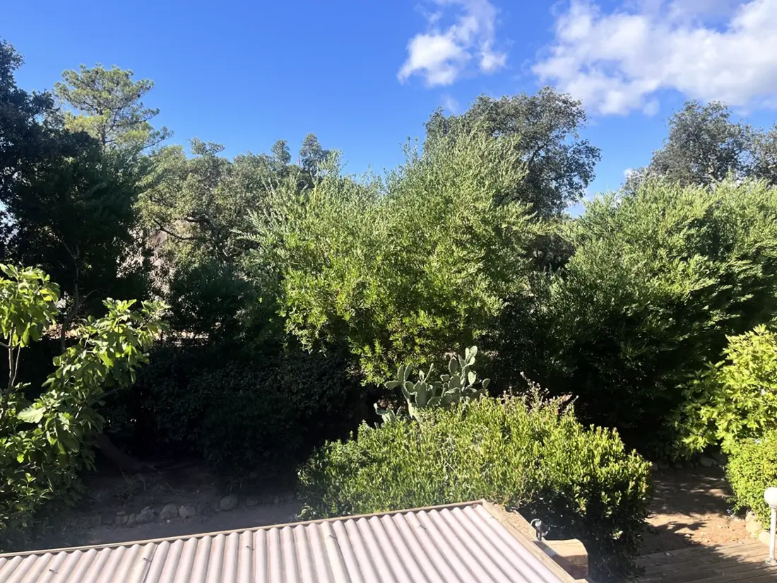 Maison de Vacances Lecci 31