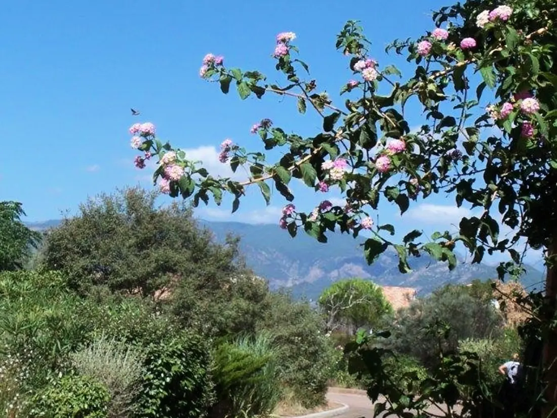 Maison de Vacances Lecci 31