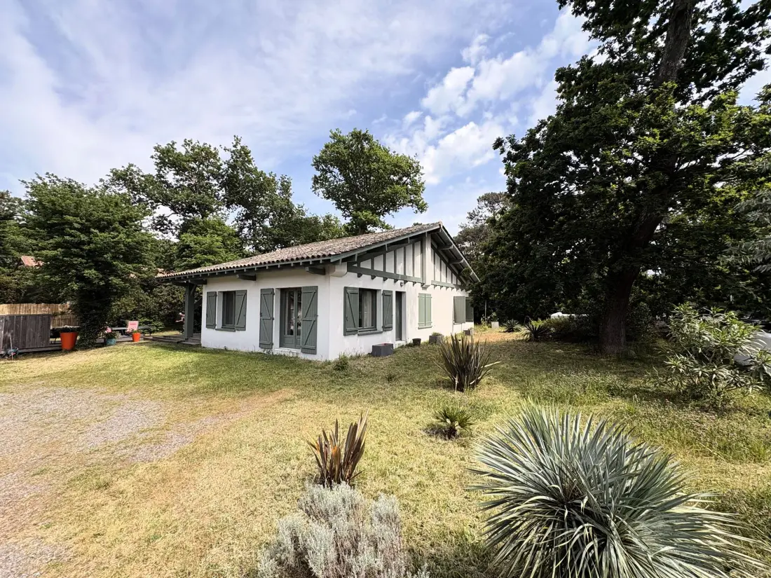 Maison de Vacances Lège-Cap-Ferret-Le Cap Ferret 31