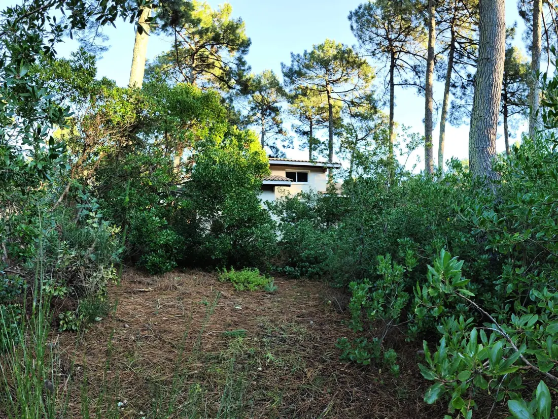 Maison de Vacances Lège-Cap-Ferret-Le Cap Ferret 5