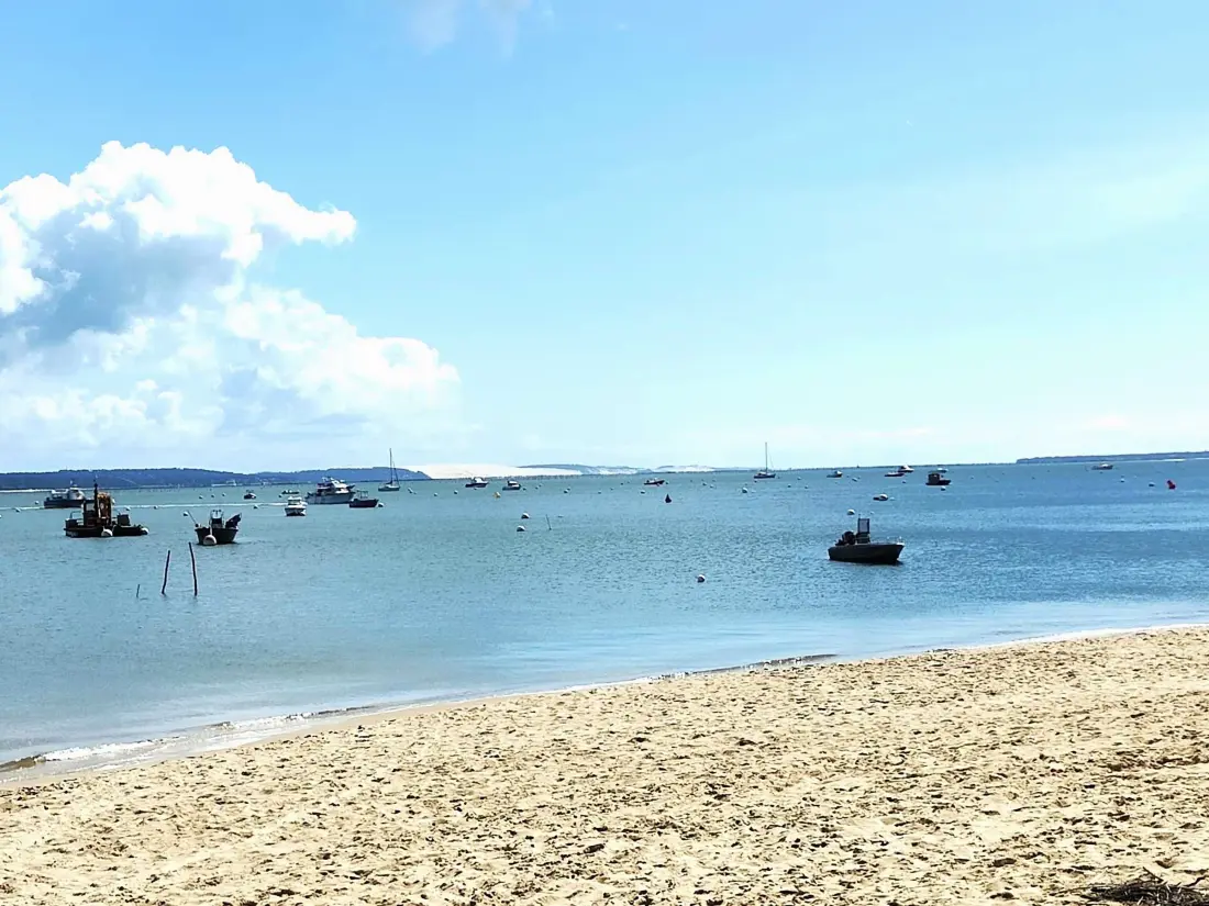 Maison de Vacances Lège-Cap-Ferret-Le Cap Ferret 13
