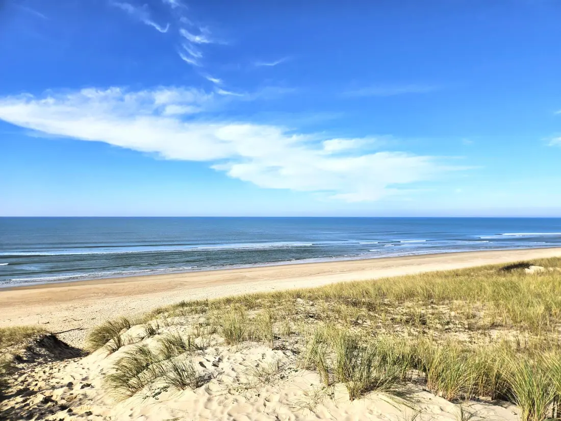 Maison de Vacances Lège-Cap-Ferret-Le Cap Ferret 19