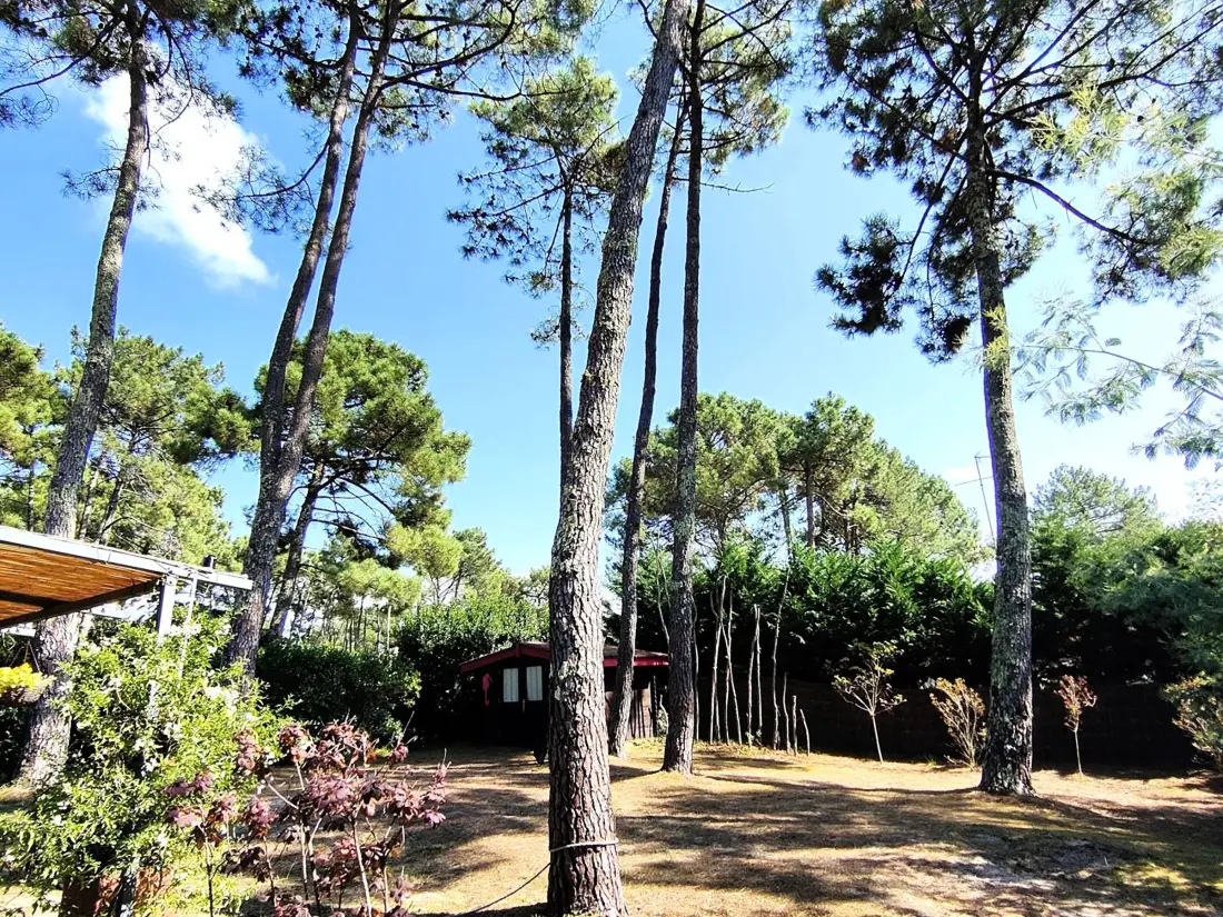 Maison de Vacances Lège-Cap-Ferret-Le Cap Ferret 19
