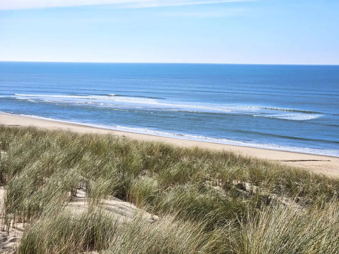 Maison de Vacances Lège-Cap-Ferret-Le Cap Ferret 21