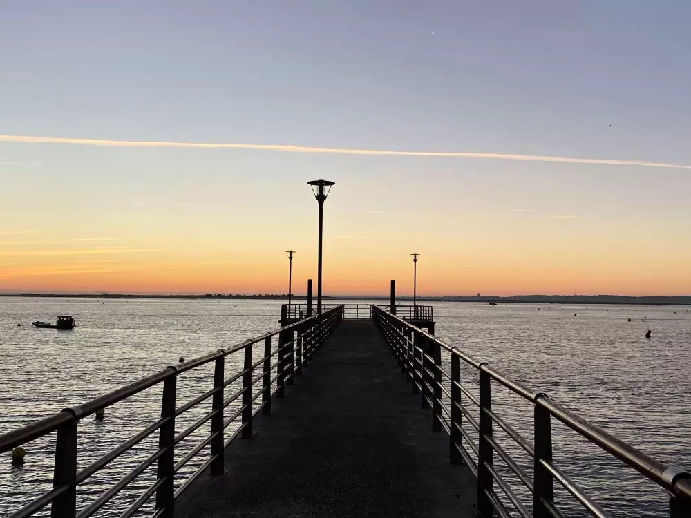 Maison de Vacances Lège-Cap-Ferret 88