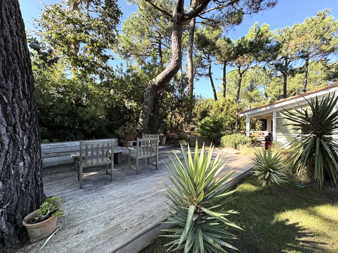 Maison de Vacances Lège-Cap-Ferret-Le Cap Ferret 30