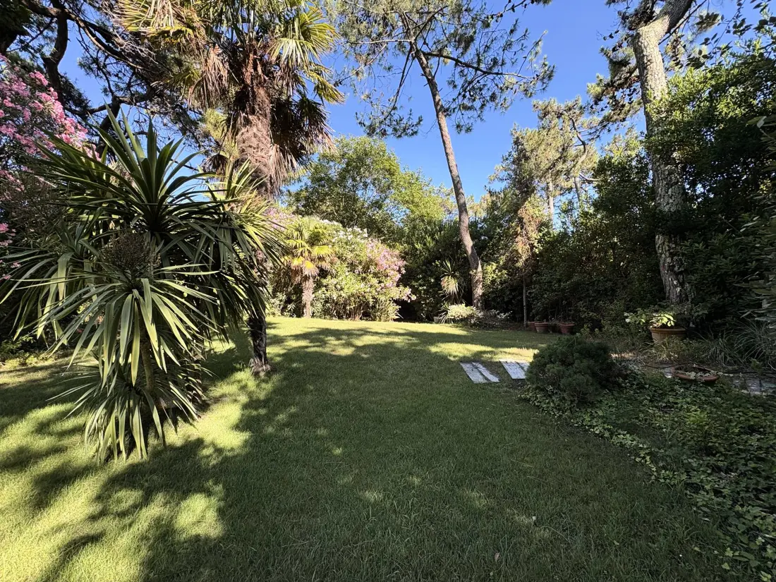 Maison de Vacances Lège-Cap-Ferret-Le Cap Ferret 32
