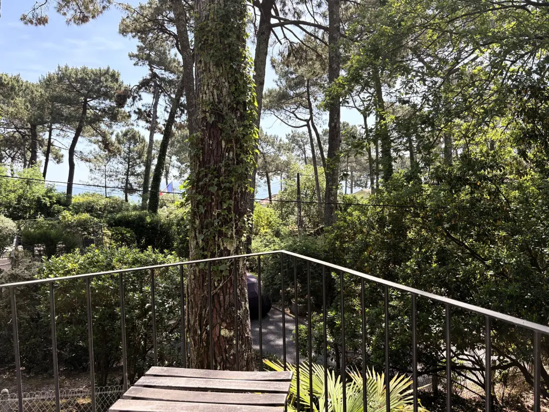 Maison de Vacances Lège-Cap-Ferret-Le Cap Ferret 34