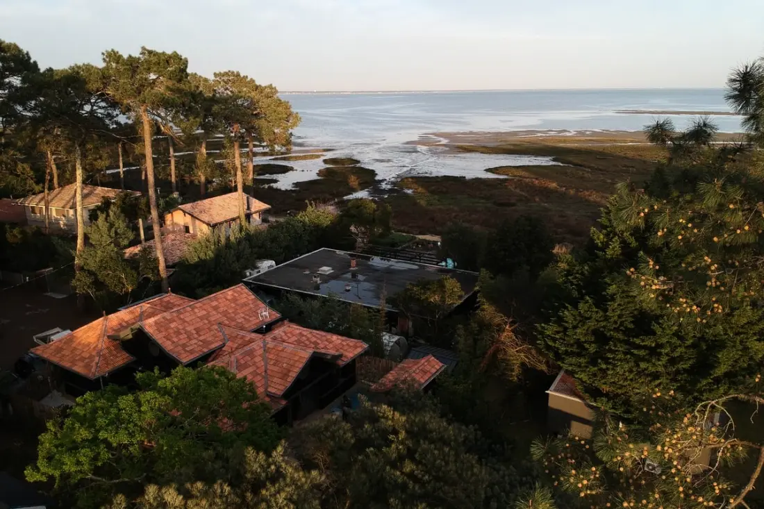 Villa Lège-cap-ferret - Piscine - Vue Bassin