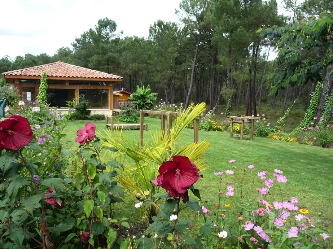 Camping LANDES OCEANES 4 étoiles★★★★