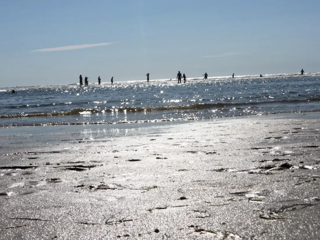 Camping LANDES OCEANES 4 étoiles★★★★
