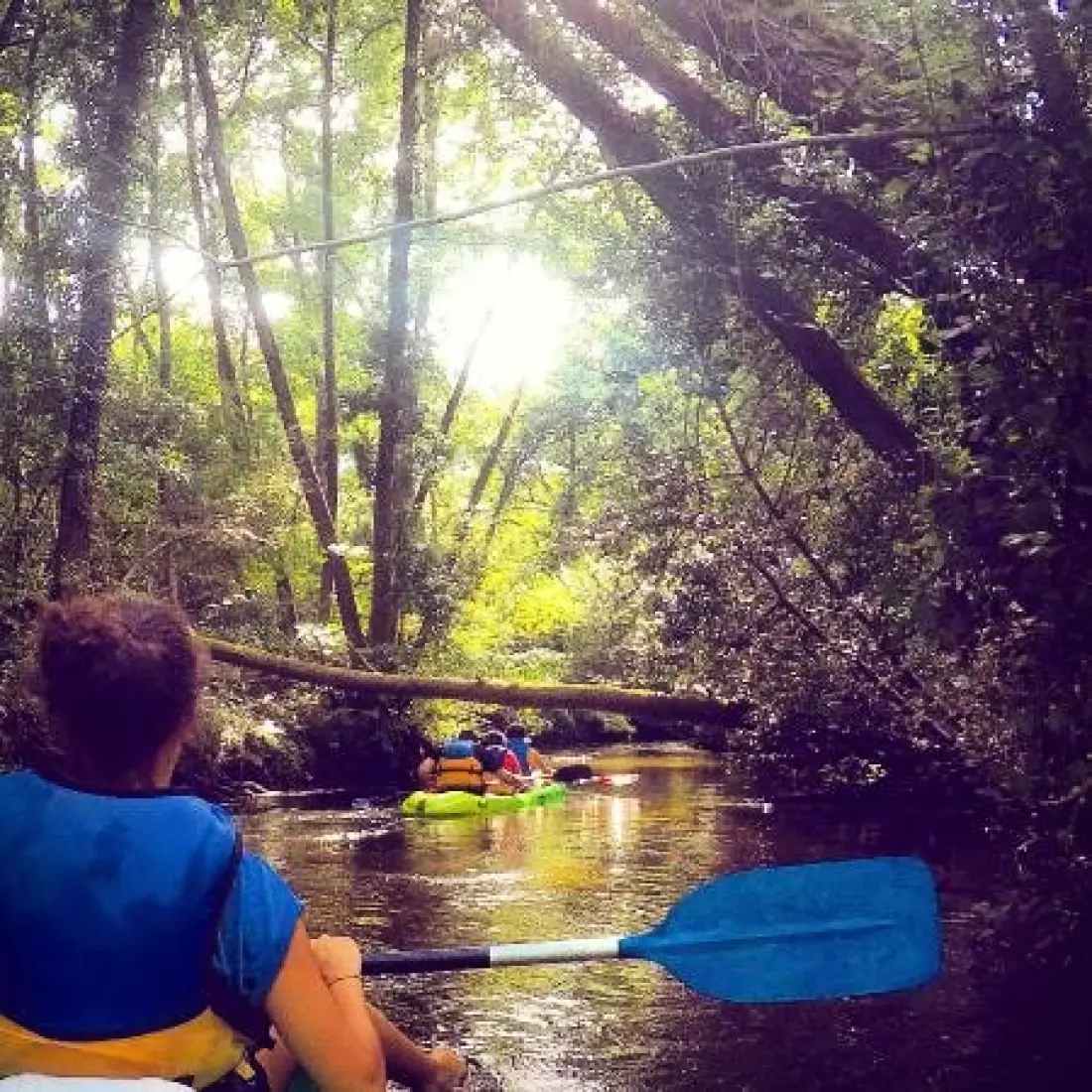 Camping LANDES OCEANES 4 étoiles★★★★