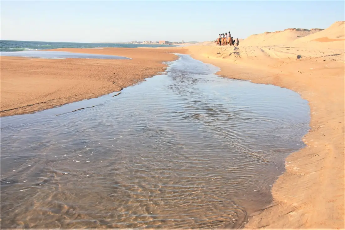 Camping LANDES OCEANES 4 étoiles★★★★