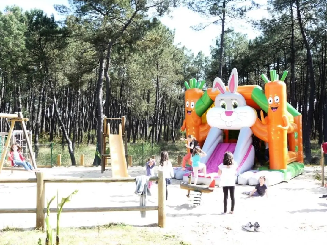Camping LANDES OCEANES 4 étoiles★★★★