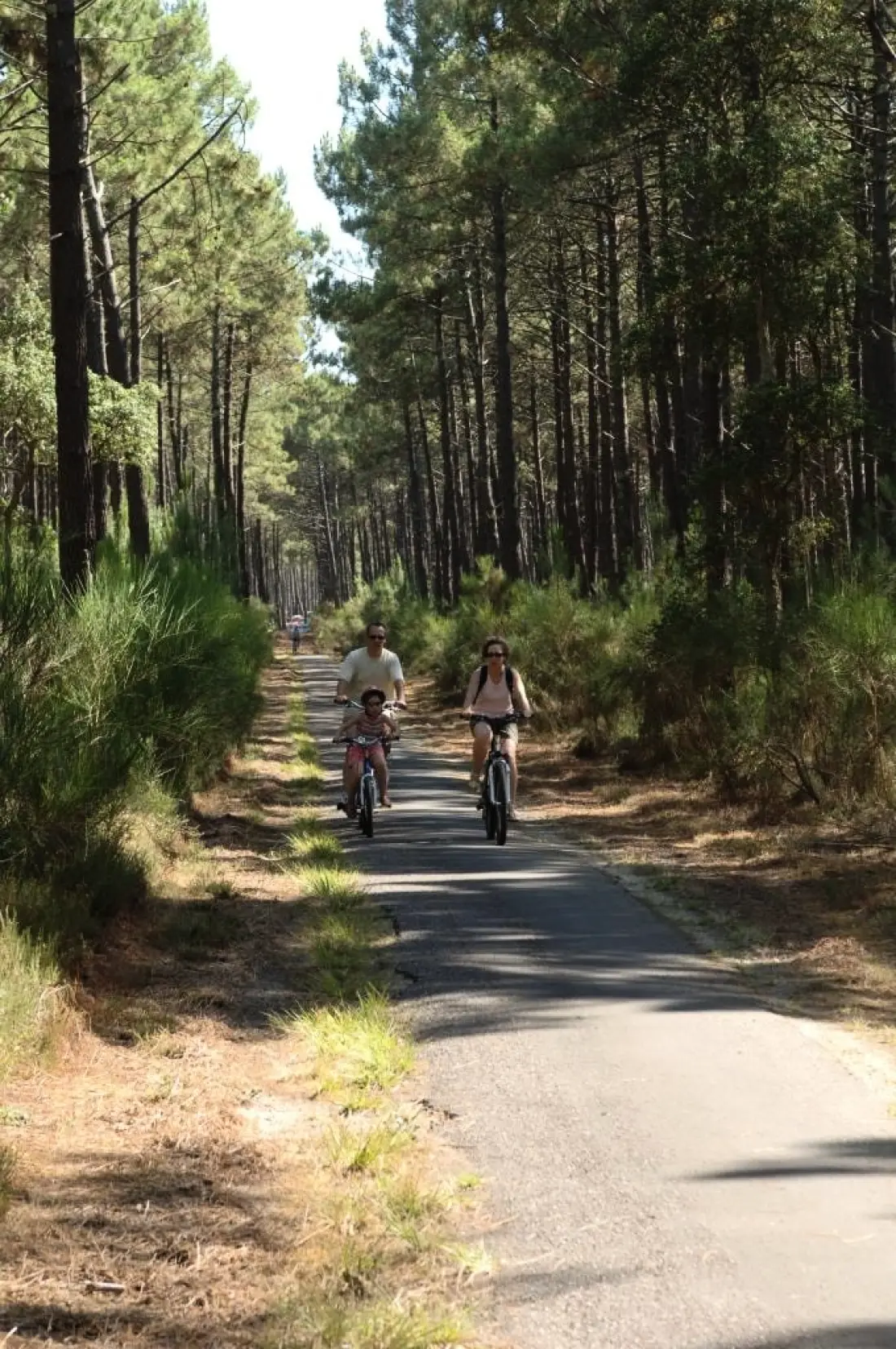 Camping LANDES OCEANES 4 étoiles★★★★