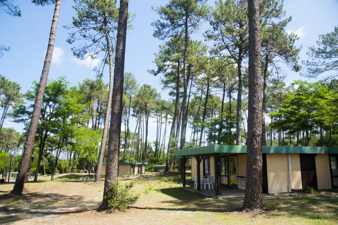 Les Pins Village Vacances2 étoiles★★